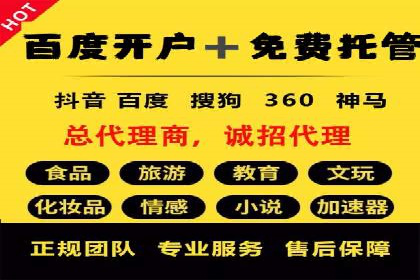某行业巨头背后的SEM代运营服务公司